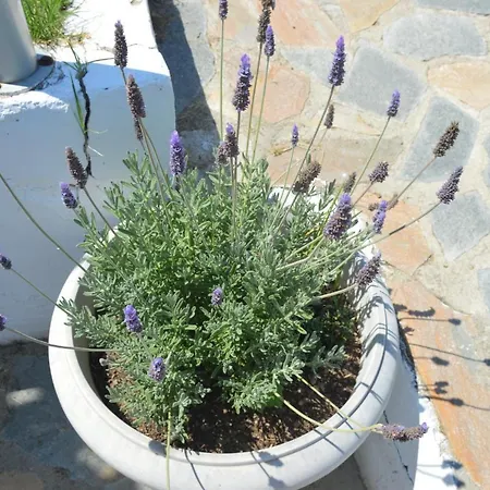 Kristi Loutra Elevtheron